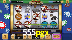 Daily Bonuses 555pgx