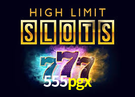 Premium Interface 555pgx